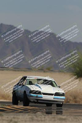 media/Oct-12-2025-Lucky Dog Racing (Sun) [[8adb5568ea]]/3-Third    Stint/4-Turn 4 (Tree of Life)/